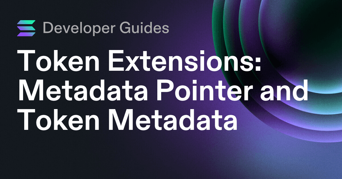 How to use the Metadata Pointer extension